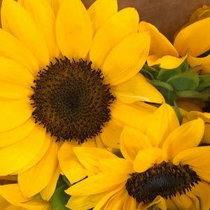 Meet your Posher, Katherine